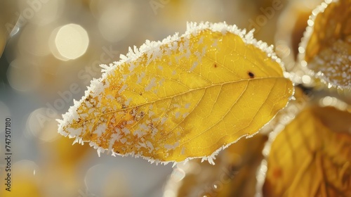 A close-up of frost on a vibrant golden leaf, the icy crystals standing out against the warm hues.