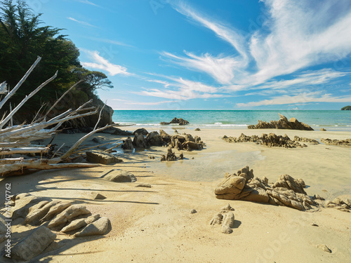 Wainui Inlet, Tasman, Südinsel, Neuseeland, Ozeanien photo