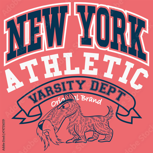 collection of collegiate or varsity style designs, with patches and numbers alluding to sports, cities, number of players, and student mascots, urban touches and modern and attractive colors.