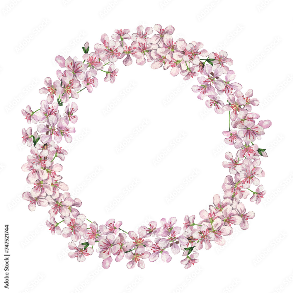 Watercolor circle frame from pink flowers. Wreath spring flowers for graphic resources. Botanical hand drawn illustration isolated on transparent.	