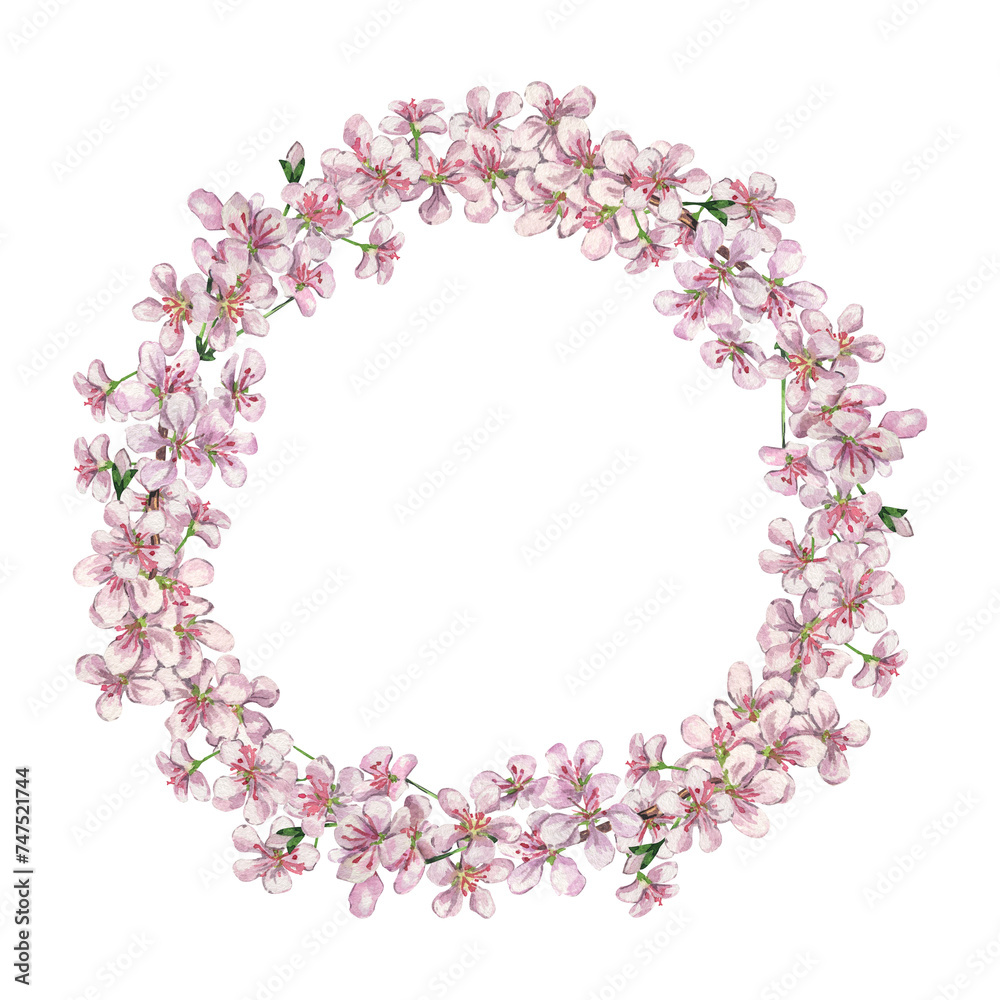 Watercolor circle frame from pink flowers. Wreath spring flowers for graphic resources. Botanical hand drawn illustration isolated on transparent. Watercolor circle frame from pink flowers. Wreath spring flowers for graphic resources. Botanical hand drawn illustration isolated on transparent.