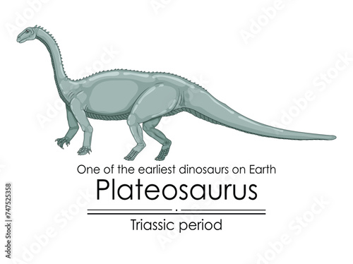 Plateosaurus, one of the earliest dinosaurs on Earth, appeared during the Triassic period, colorful illustration on a white background 