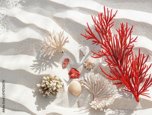Red coral on white sand with light shining on it