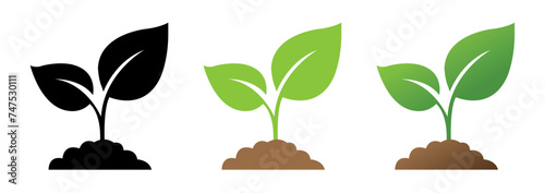 illustration of a green plant