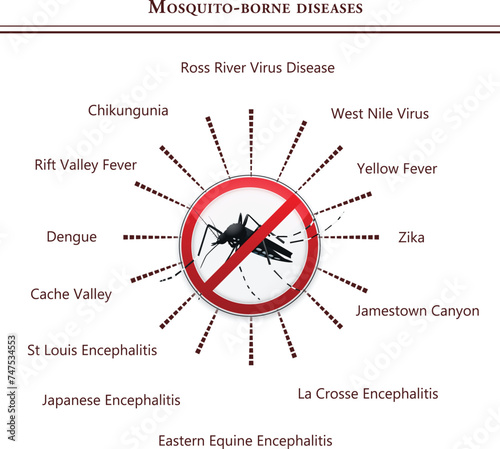 Mosquito borne disease infographics of USA