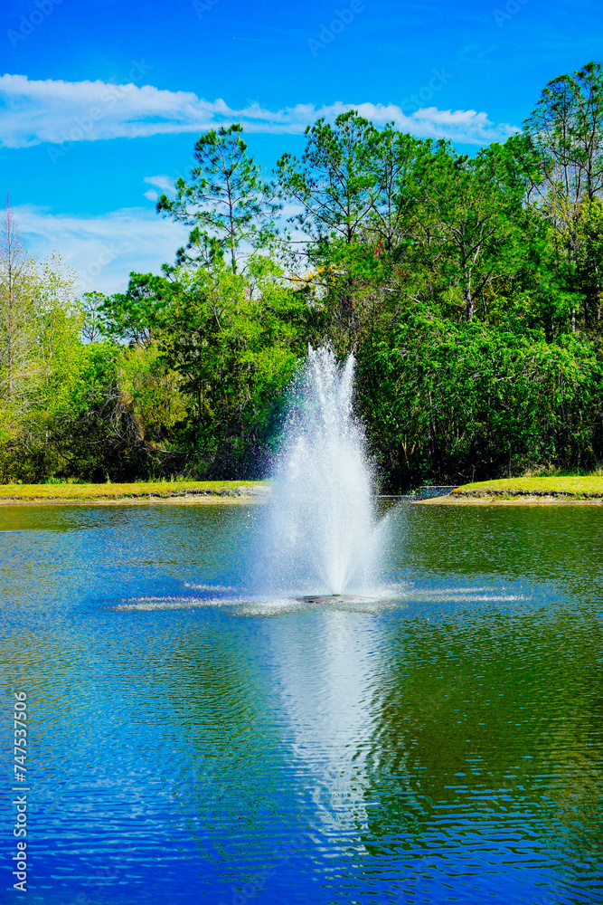 A Florida community pond in spring