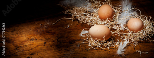 eggs from farm