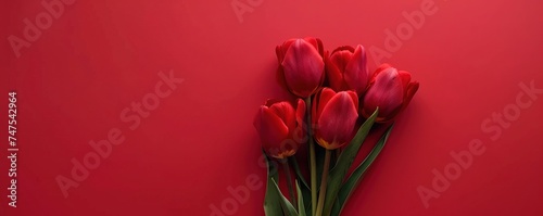 Red tulip bouquet flower background. Floral wallpaper, banner. February 14, valentine's day, love, 8 march international women's day theme.