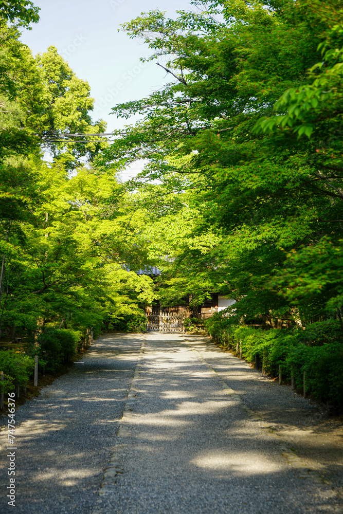 京都鷹峯常照寺の参道 京都鷹峯常照寺の参道