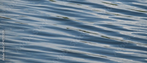 Natural rippled blue water surface texture as a background