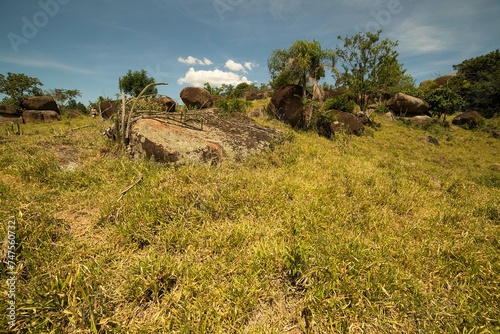 Área de extensa vegetação, pedras, planta, trilhas, capim, rochas e árvores em fazenda no município de Itu, São Paulo, Brasil. 