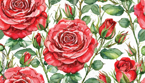  seamless pattern with red roses and buds  watercolor hand drawing © Lazaro
