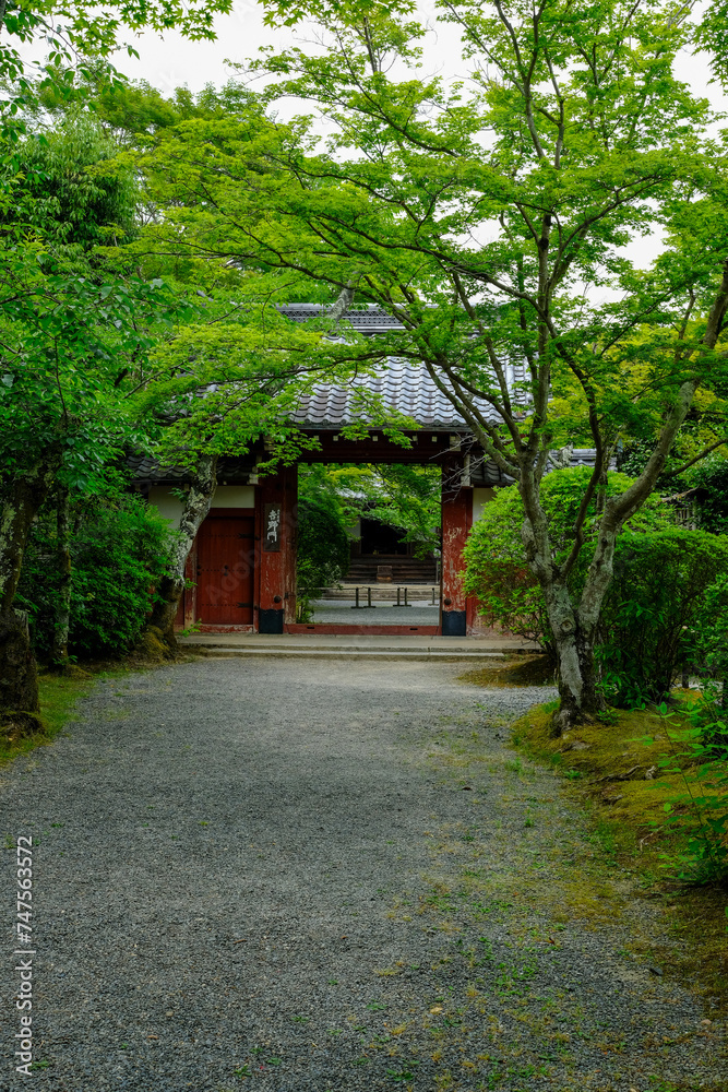 京都鷹峯常照寺の参道