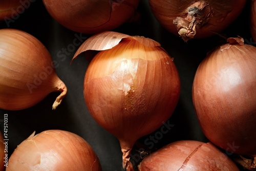 Colorful, ripe onions. Still life photography. 