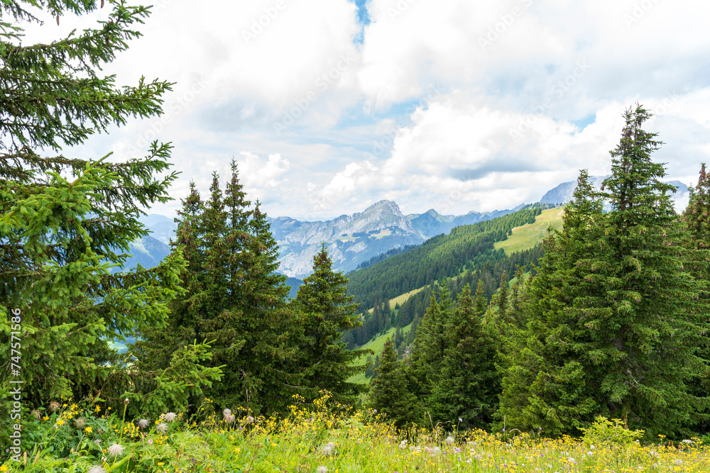 Jolie montagne à Chatel France