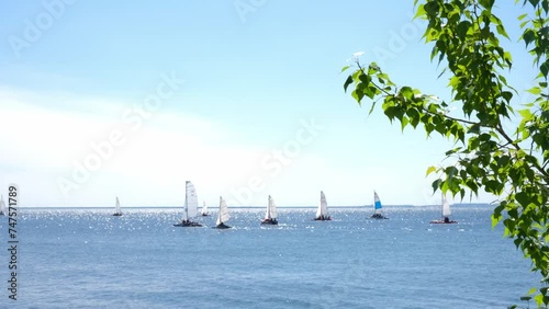 Sailing. Catamarans with white sails in open sea. Sports competitions on high seas. Regatta. Moving in wind on a sailing boat. Boat trip on yacht. Recreation, leisure, cruise. photo
