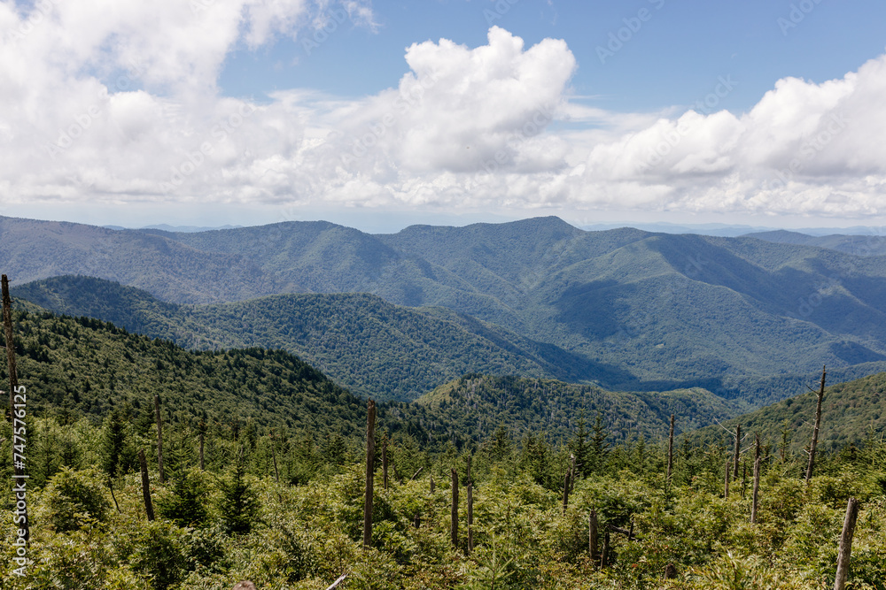 Beautiful mountain landscape from a bird's eye view of a blue mountain, endless horizon and trees in the foreground. Grandfather Mountain, North Carolina 28646, USA