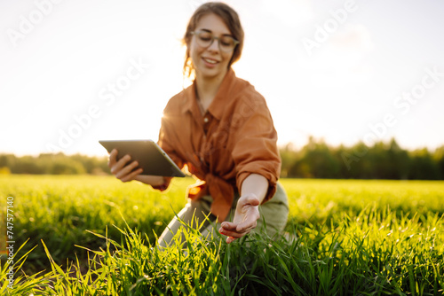 A woman farmer with a modern tablet evaluates the shoots with her hand, green sprouts of wheat in the field. Agriculture, gardening or ecology concept.