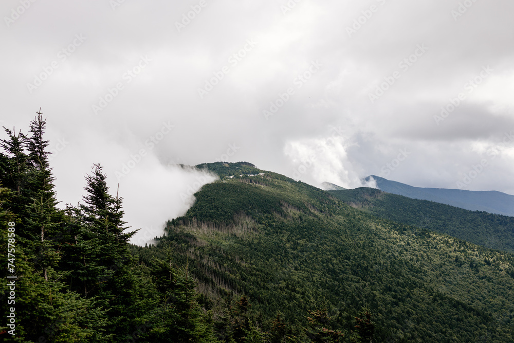 Beautiful mountain landscape from a bird's eye view of a blue mountain, endless horizon and trees in the foreground. Grandfather Mountain, North Carolina 28646, USA