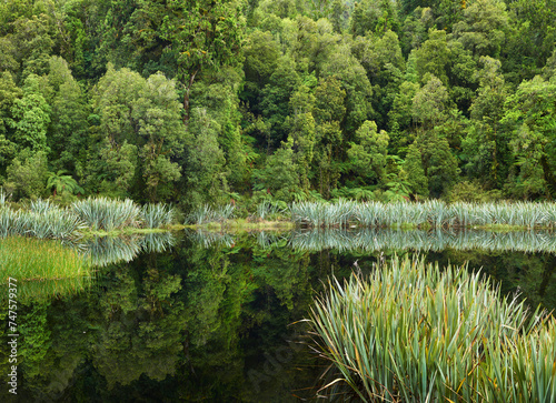 Lake Matheson, Westland Nationalpark, West Coast, Südinsel, Neuseeland photo