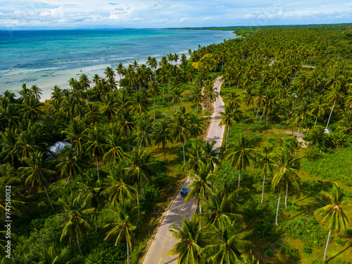 Palm-Lined Road Stretching Through Tropical Landscape on Bantayan Island, Philippines photo