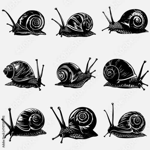 Silhouette snail vector illustration design with black and white colour. simple and elegant