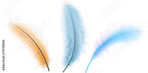 Flying realistic vector  goose or swan colored feathers.Ecological feather filler for pillows, blankets or jackets.Vector concept design.
