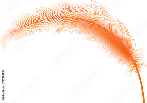 Flying realistic vector  goose or swan orange feathers.Ecological feather filler for pillows  blankets or jackets.Vector concept design. 