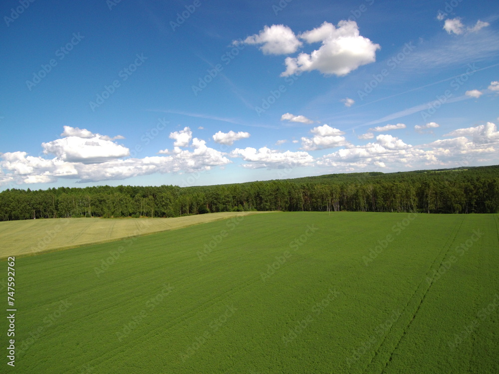 Obraz premium Nature, green, lake, wood, sunny, countryside, clouds, sky, summer