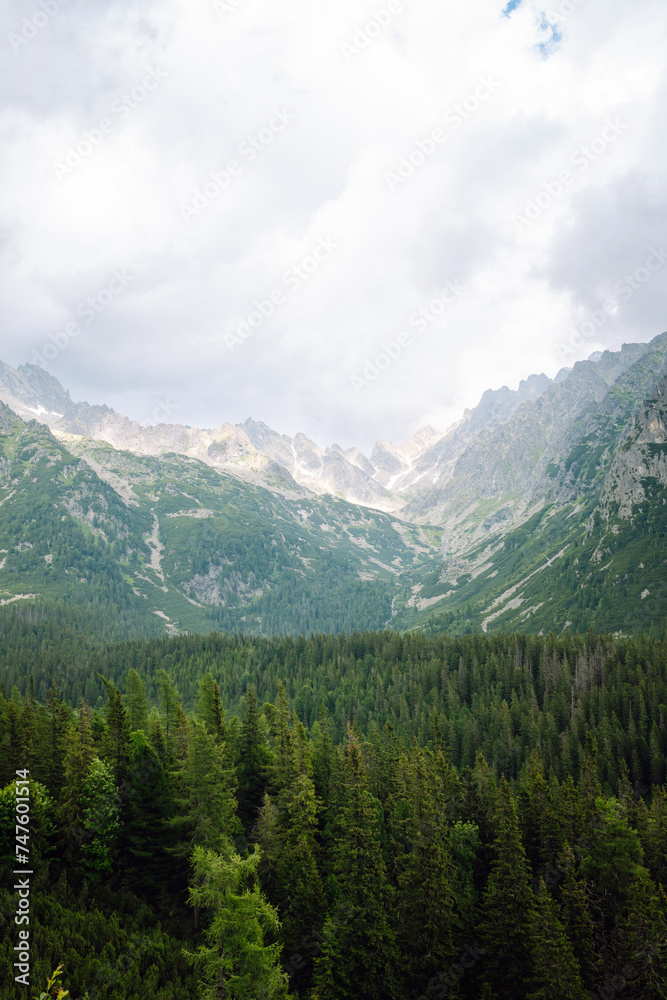 View of a beautiful mountain vacation in a national park. Location of the High Tatras Mountains, Europe. Nature concept, views.