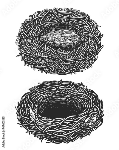 Empty bird nest. Hand drawn sketch vintage vector illustration
