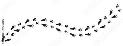 Rabbit or hare footprints forming a diagonal trail. Silhouette of the Easter Bunny's tracks. Black vector isolated on white background. Good for pet shop, print, textile, game, postcard, zoo, clothes