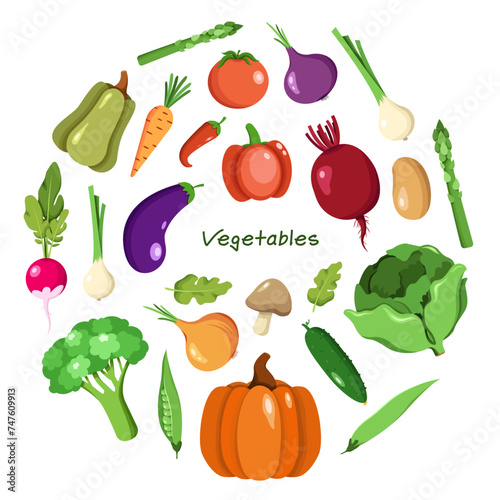 Vector collection of vegetables in cartoon flat style isolated on white 