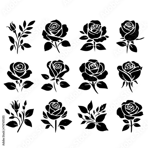 set of black and white roses © Koko