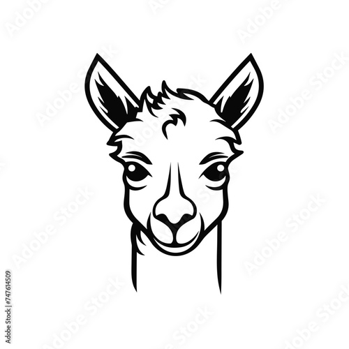 head of lama or alpaca black and white vector illustration isolated transparent background logo  cut out or cutout t-shirt print design