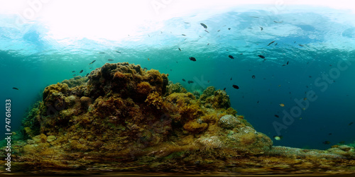 Fototapeta Naklejka Na Ścianę i Meble -  Fish and coral reefs under the sea. Underwater scenery. Virtual Reality 360.