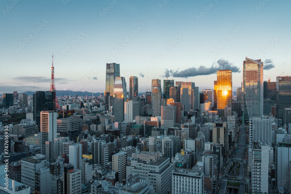 Tokyo cityscape at sunrise in Japan.