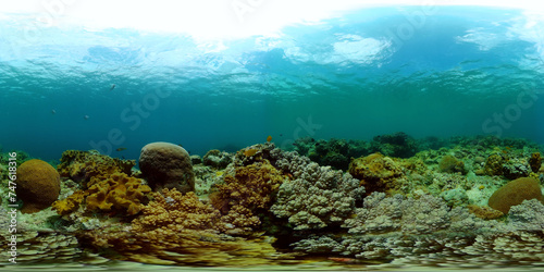 Beautiful corals under water life. Tropical fishes and coral reefs. Virtual Reality 360.