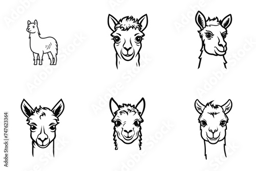 set of lama or alpaca black and white vector illustration isolated transparent background logo, cut out or cutout t-shirt print design