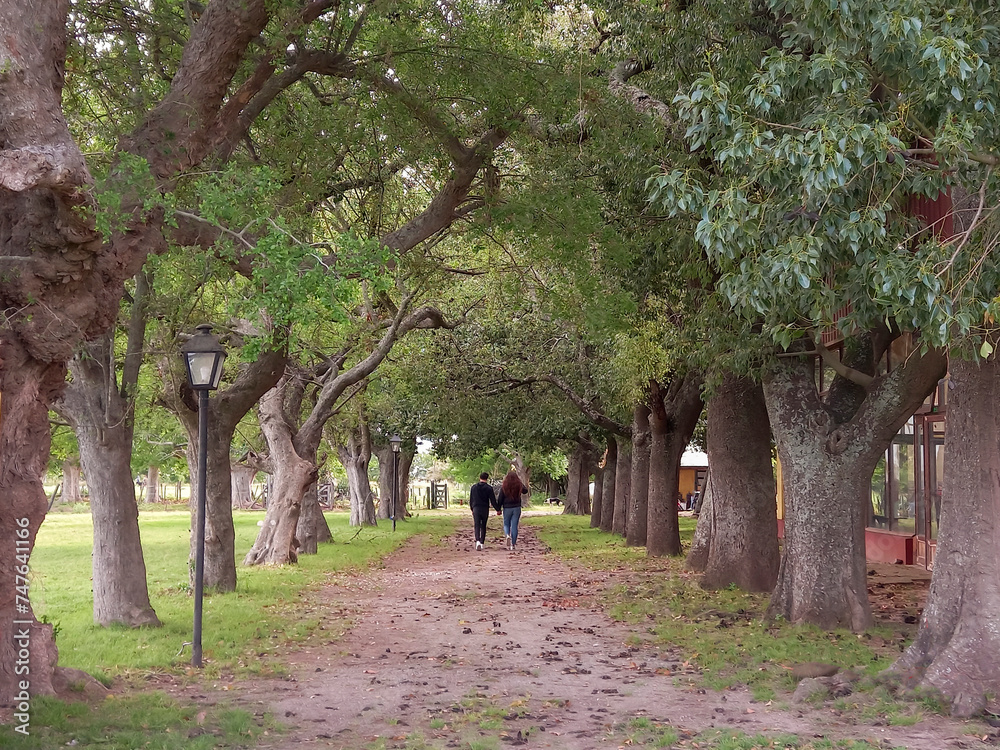 Couple walking away hand in hand along a quiet treelined dirt country road of entrance to a ranch Couple walking away hand in hand along a quiet treelined dirt country road of entrance to a ranch