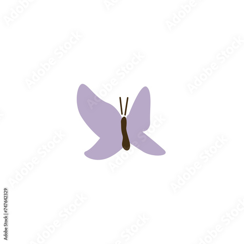 butterfly on white background