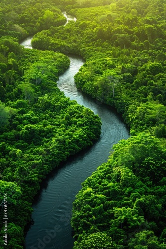 Winding River as a Lifeline in Untouched Rainforest, Sunlight Filtering Through Greenery