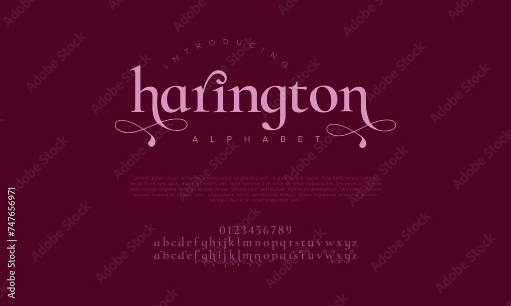 Harington premium luxury elegant alphabet letters and numbers. Elegant wedding typography classic serif font decorative vintage retro. Creative vector illustration