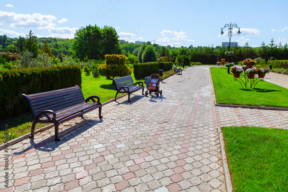 Bench in the park on a background of green grass and trees