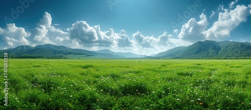 luxury panorama green field photo
