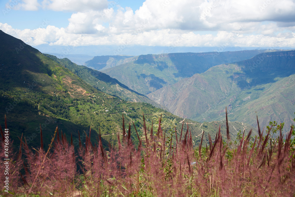 Mountainous landscape of the Colombian Andes, reddish spiked grasses out of focus in the foreground and a wide sunny valley at the top, with copy space.