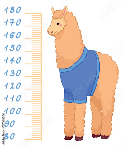 Cute alpaca measuring height on white background