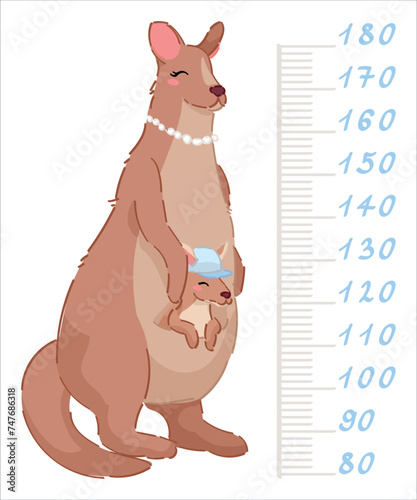 Cute kangaroo measuring height on white background