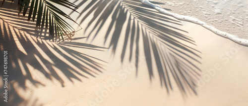 Palm Tree Leaf with Palm Leaf Shadows on the Beach