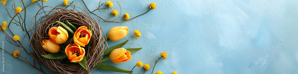 Yellow tulips in bird nest. Tulip flowers in basket on light blue  background. Spring and Easter holiday concept with copy space. Design for greeting card, banner, invitation. Flat lay - obrazy, fototapety, plakaty 